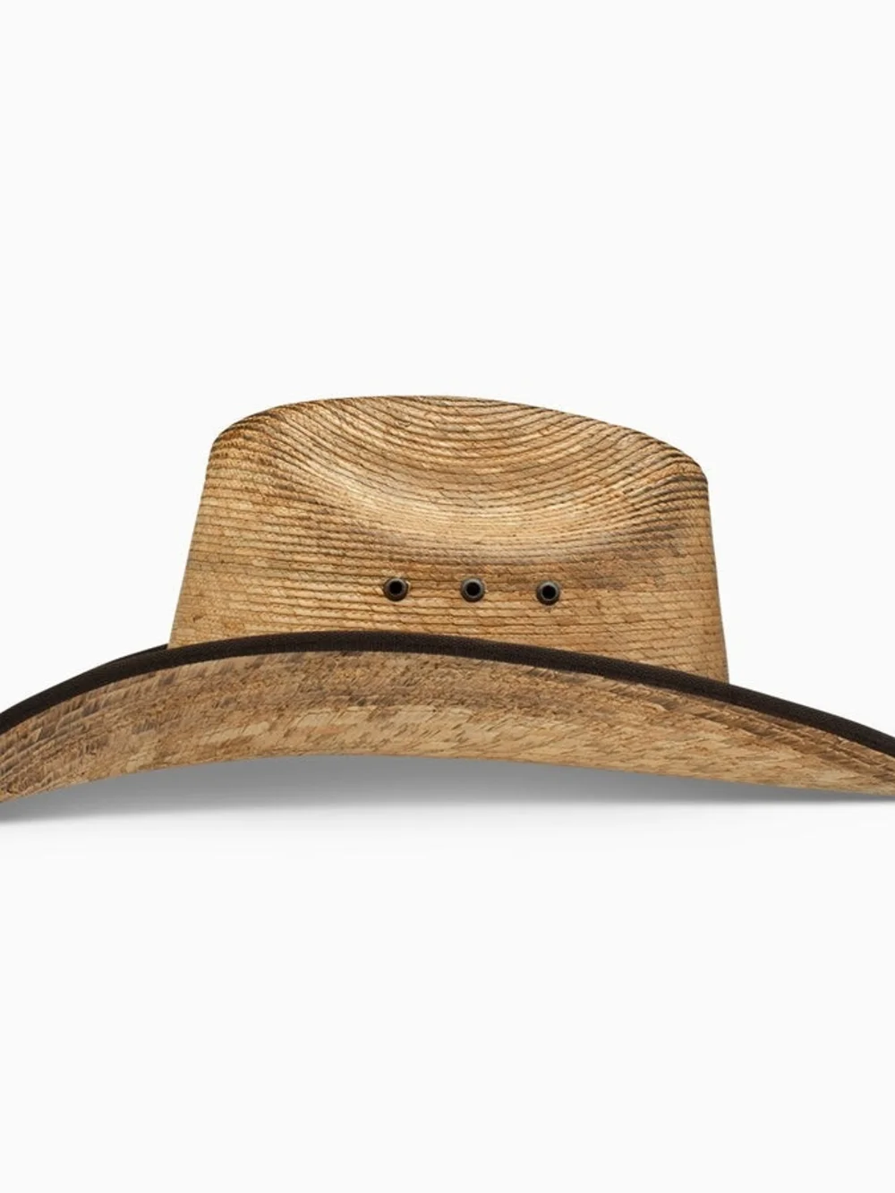 Jason Aldean palm hat